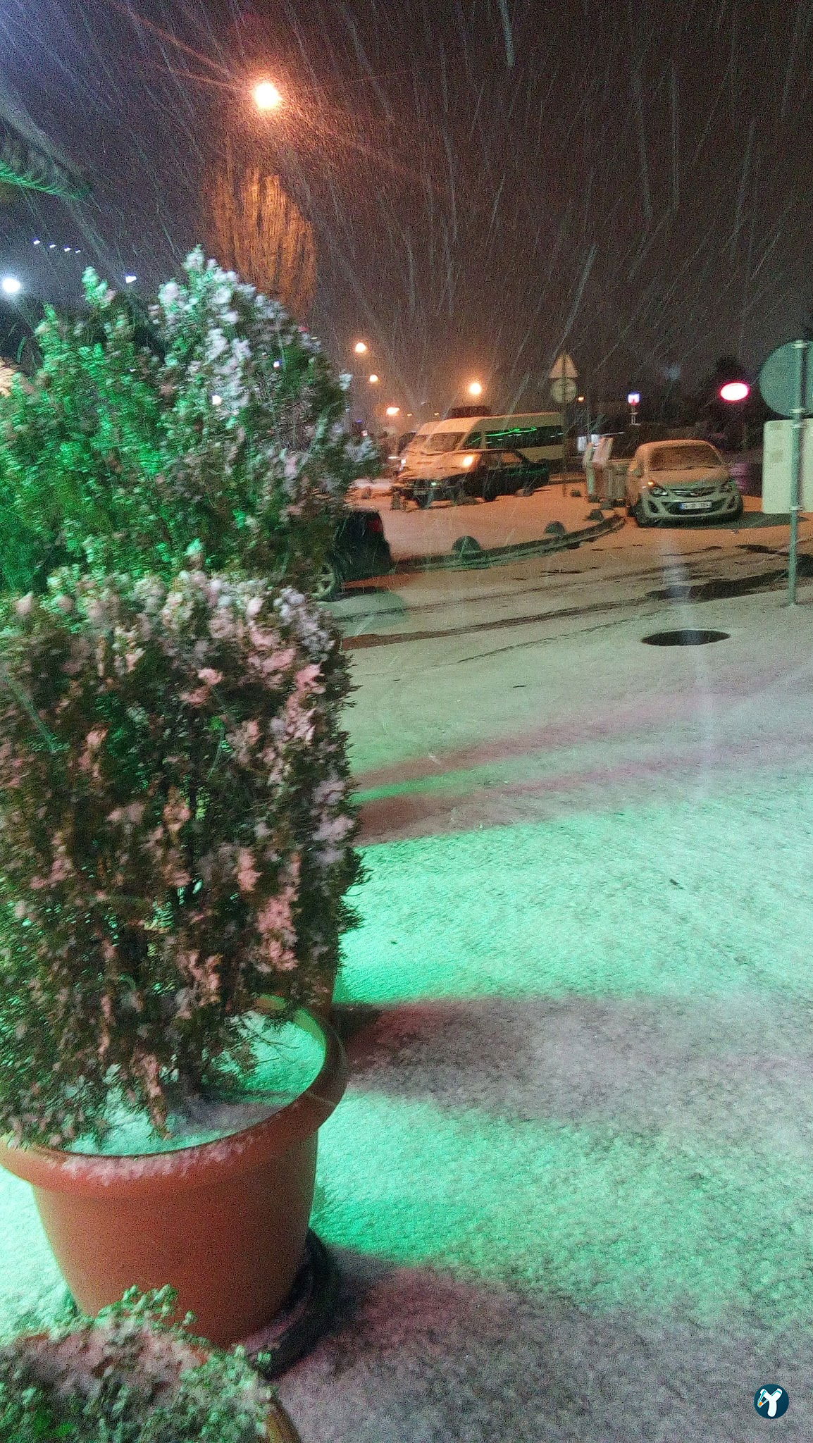 Alzide Et Lokantası