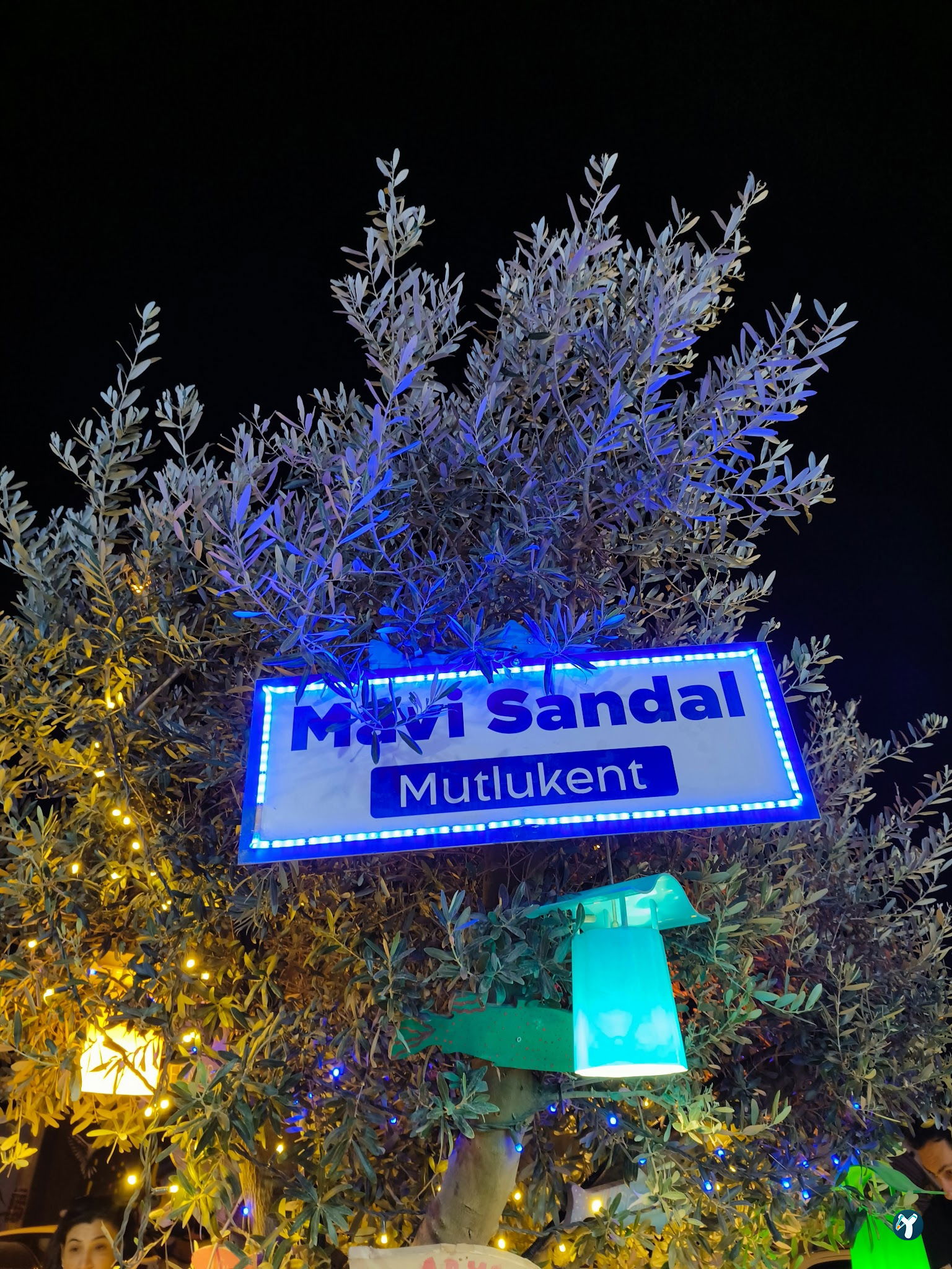 Beyaz Sandal Balikçisi