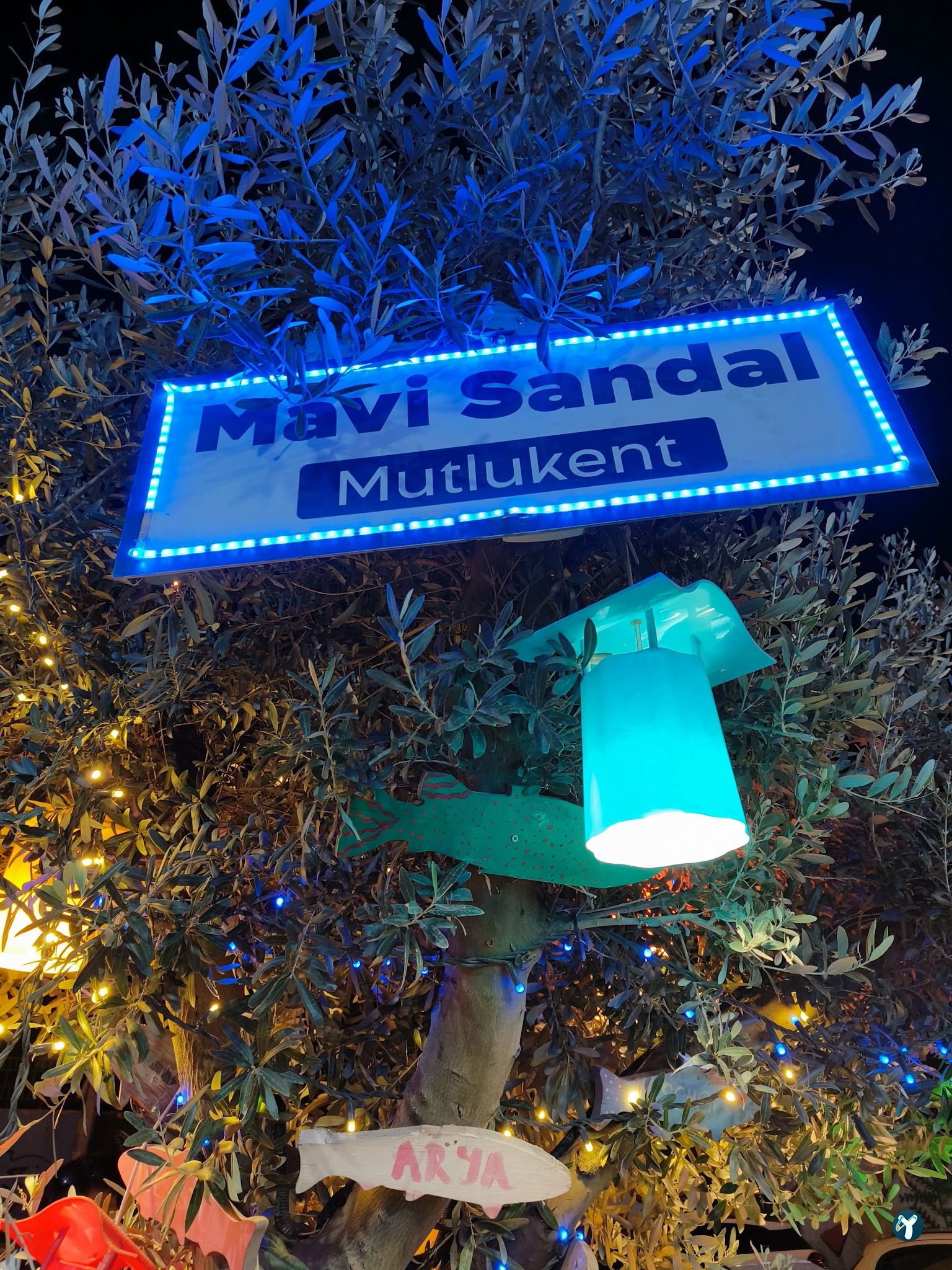 Beyaz Sandal Balikçisi