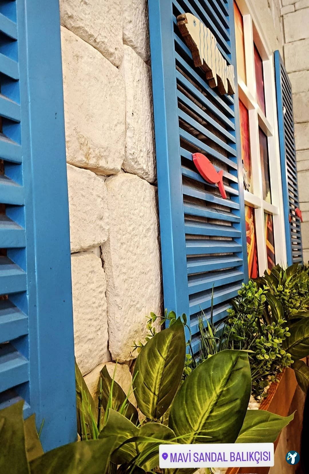 Beyaz Sandal Balikçisi
