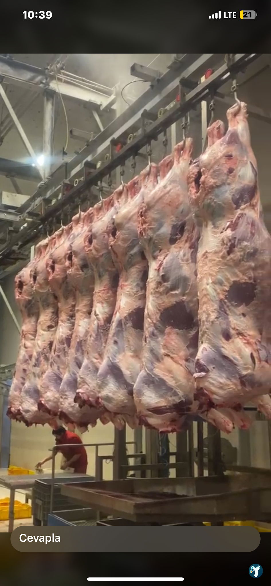Kızılcahamam Et Gross Steak House Et Pişirme Evi