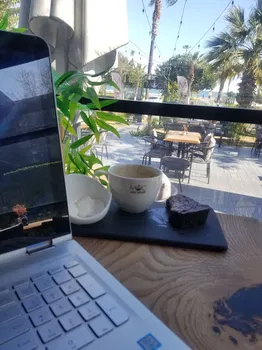 Moc Mersin resimleri