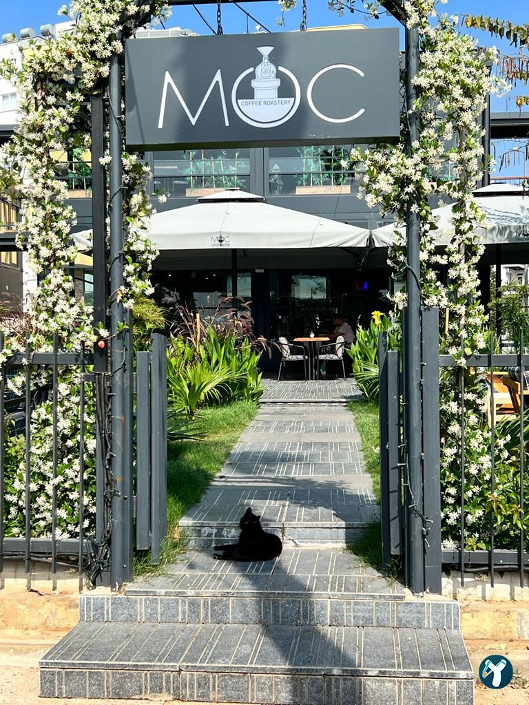 Moc Mersin