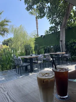 Moc Mersin resimleri