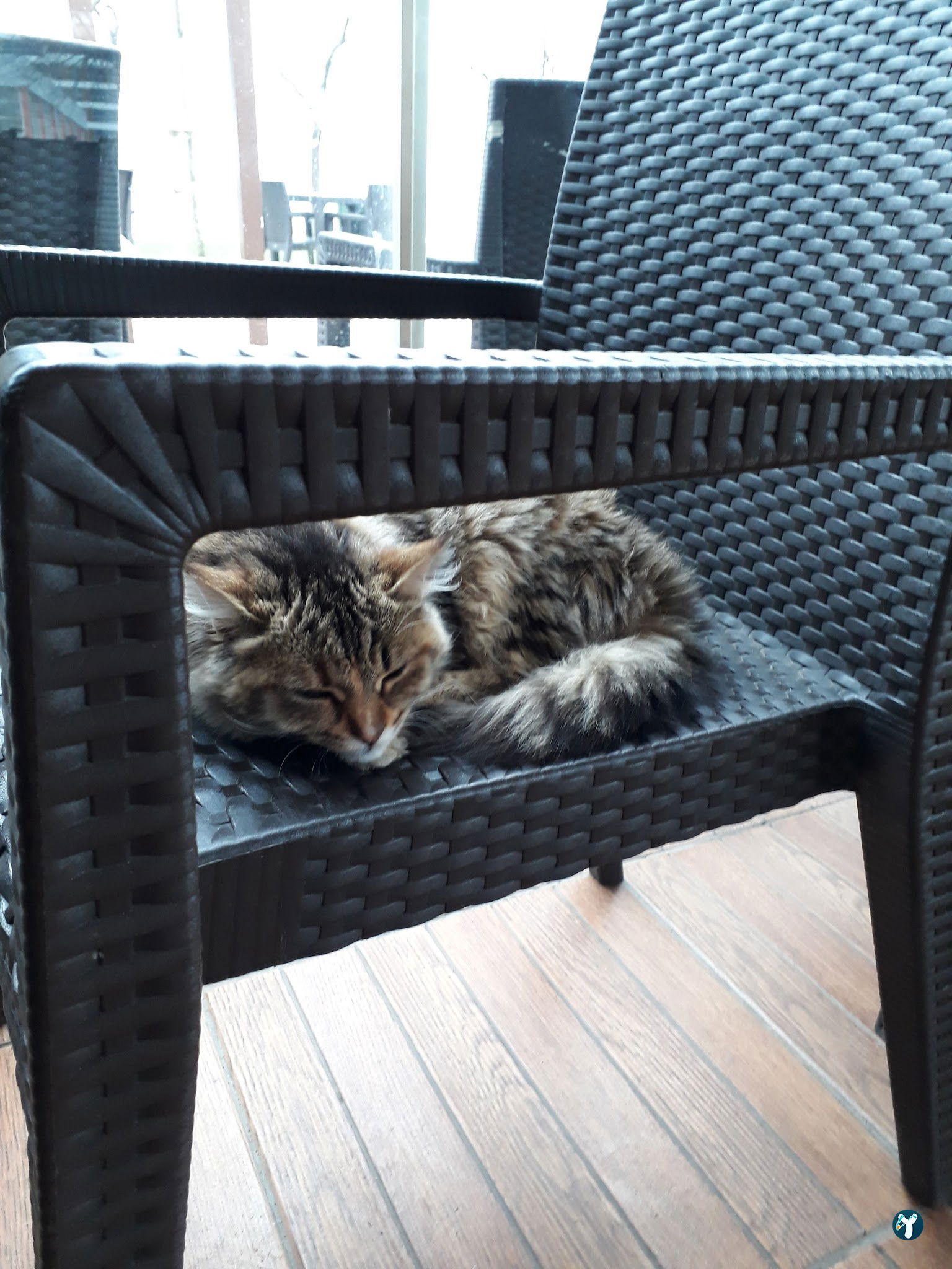 Beltur Kafe
