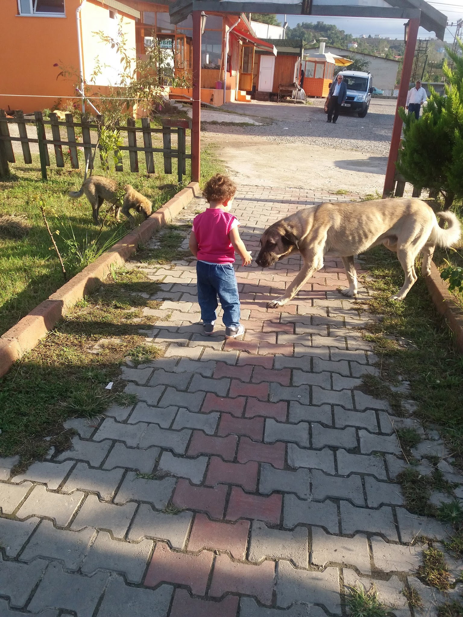 Yalıköy Köftecisi Burhan Ay