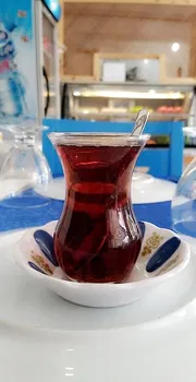Saral'S Garden Balık Evi resimleri