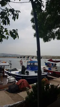 Saral'S Garden Balık Evi resimleri