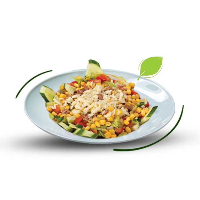 Ton Balıklı Salata