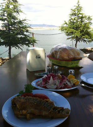 Sarıyahşi Sosyal Tesisleri