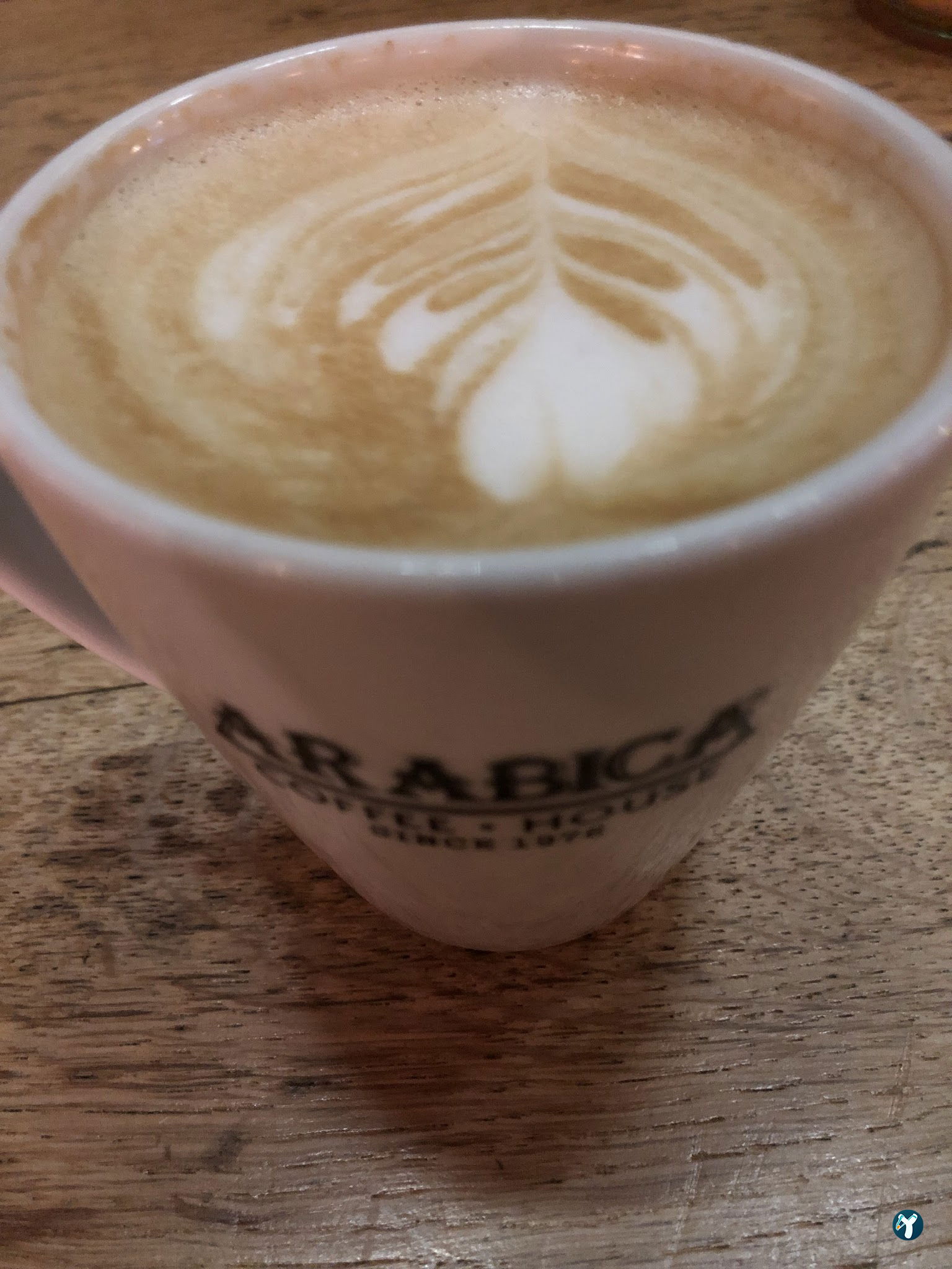 Arabica Coffee House Tepe Prime