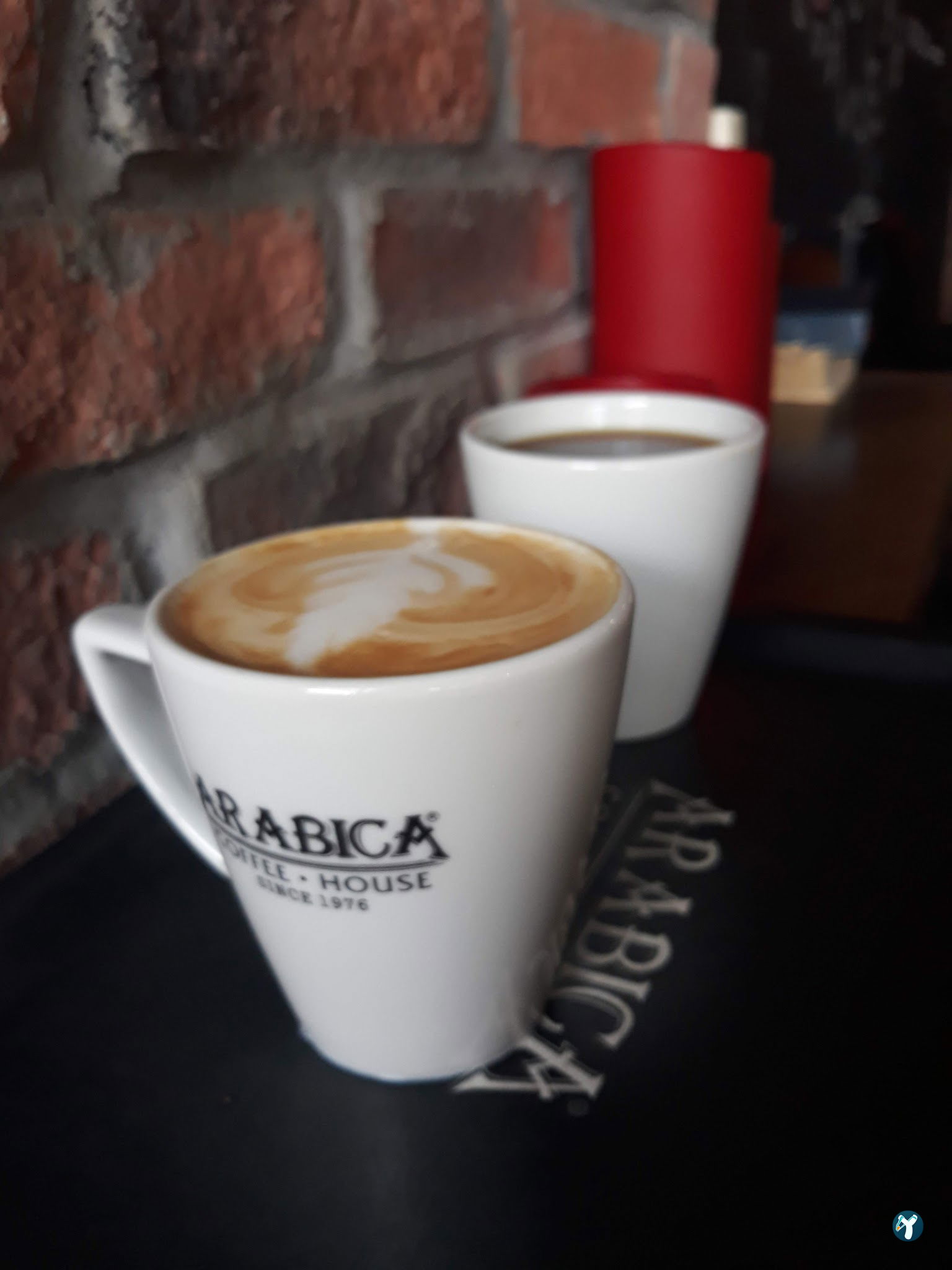 Arabica Coffee House Tepe Prime