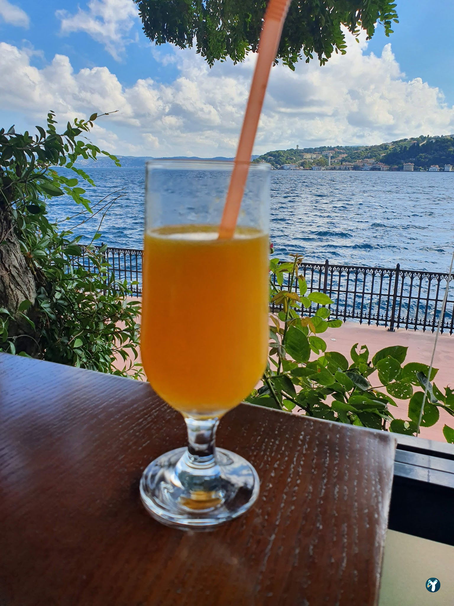 Oba Park Cafe