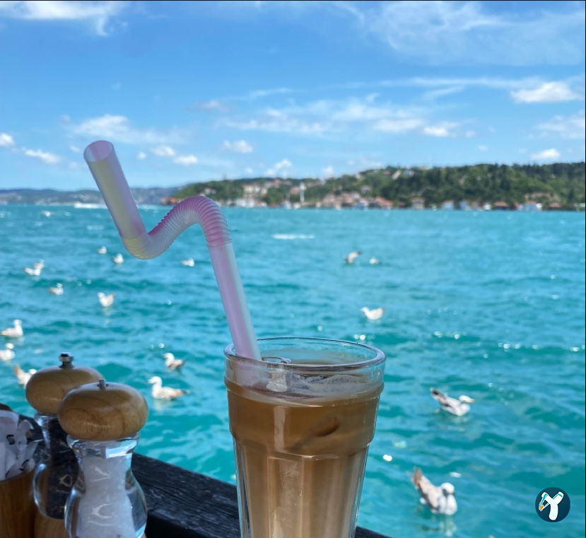 Oba Park Cafe