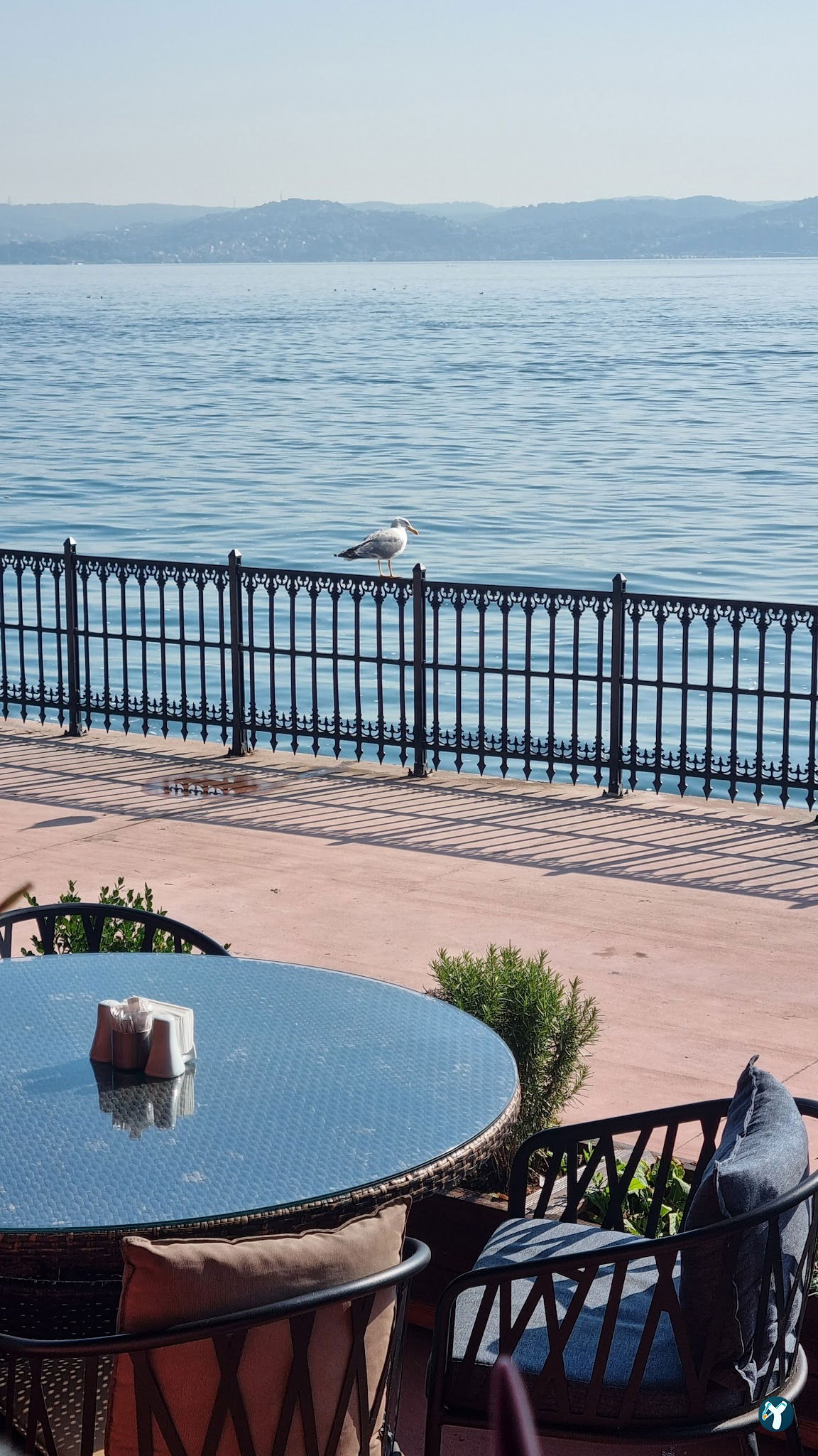 Oba Park Cafe