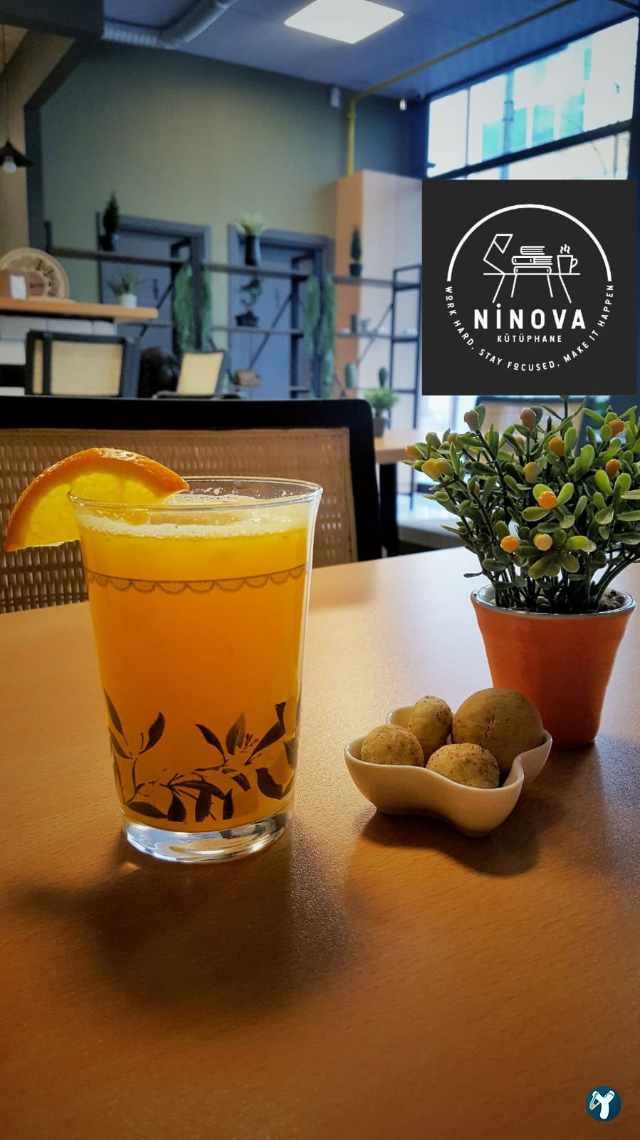 Ninova Kütüphane