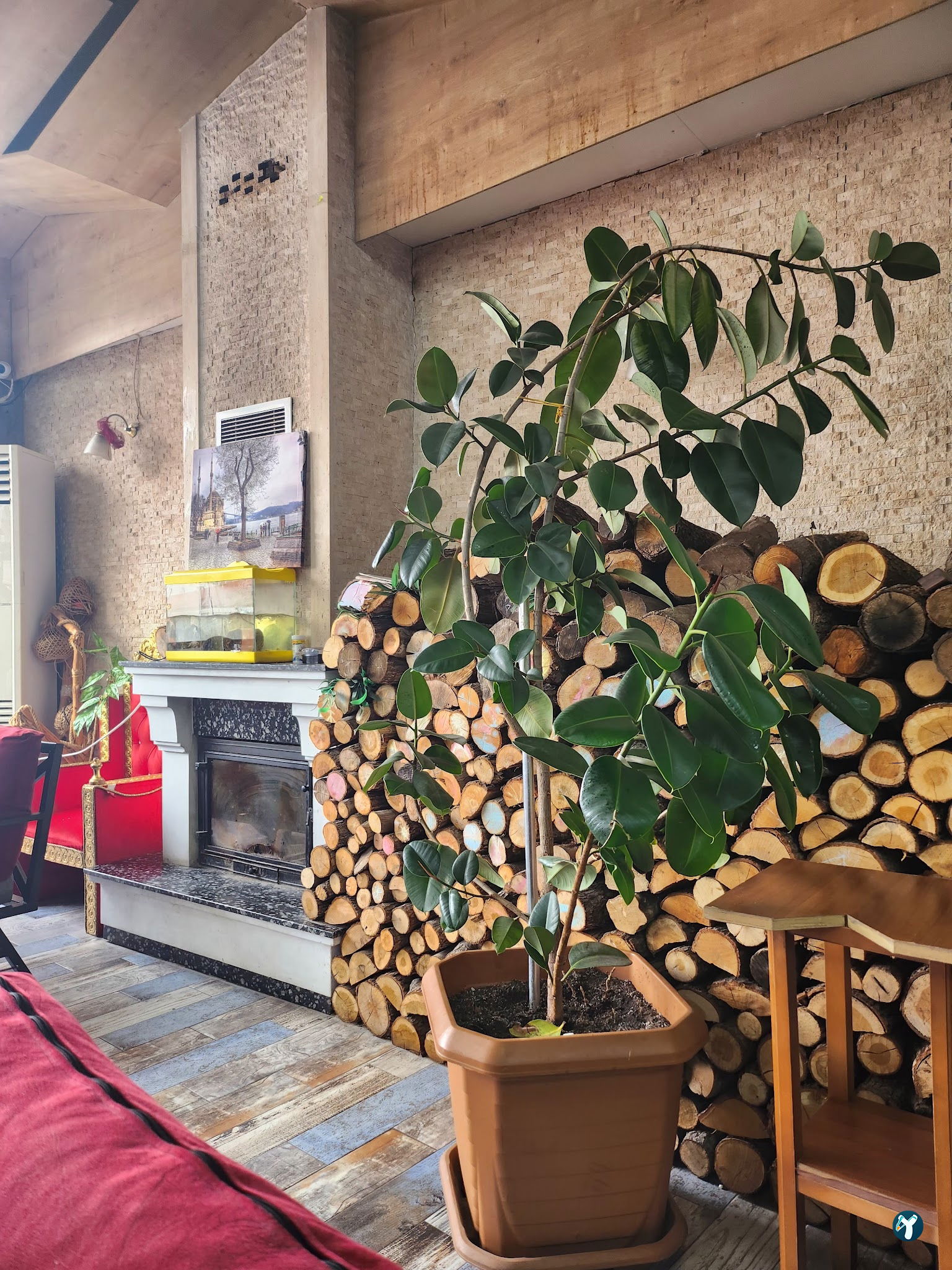 Tarihi Van Kahvaltısı
