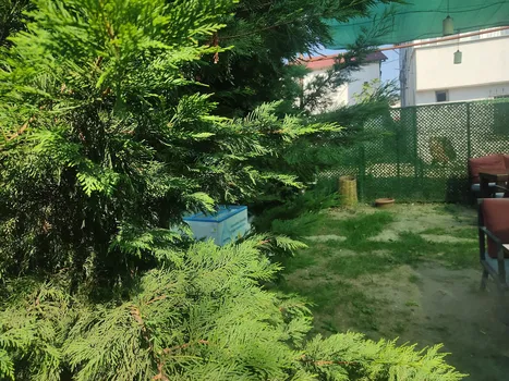 Tarihi Van Kahvaltısı resimleri Tarihi Van Kahvaltısı resimleri