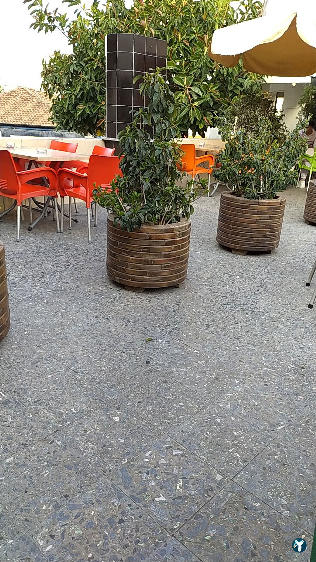 Ayca Cafe
