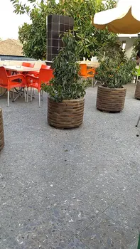 Ayca Cafe resimleri