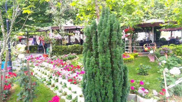 Günay Çay Bahçesi resimleri