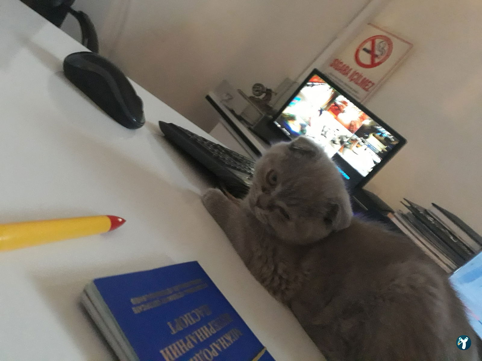 Dadaş Piknik