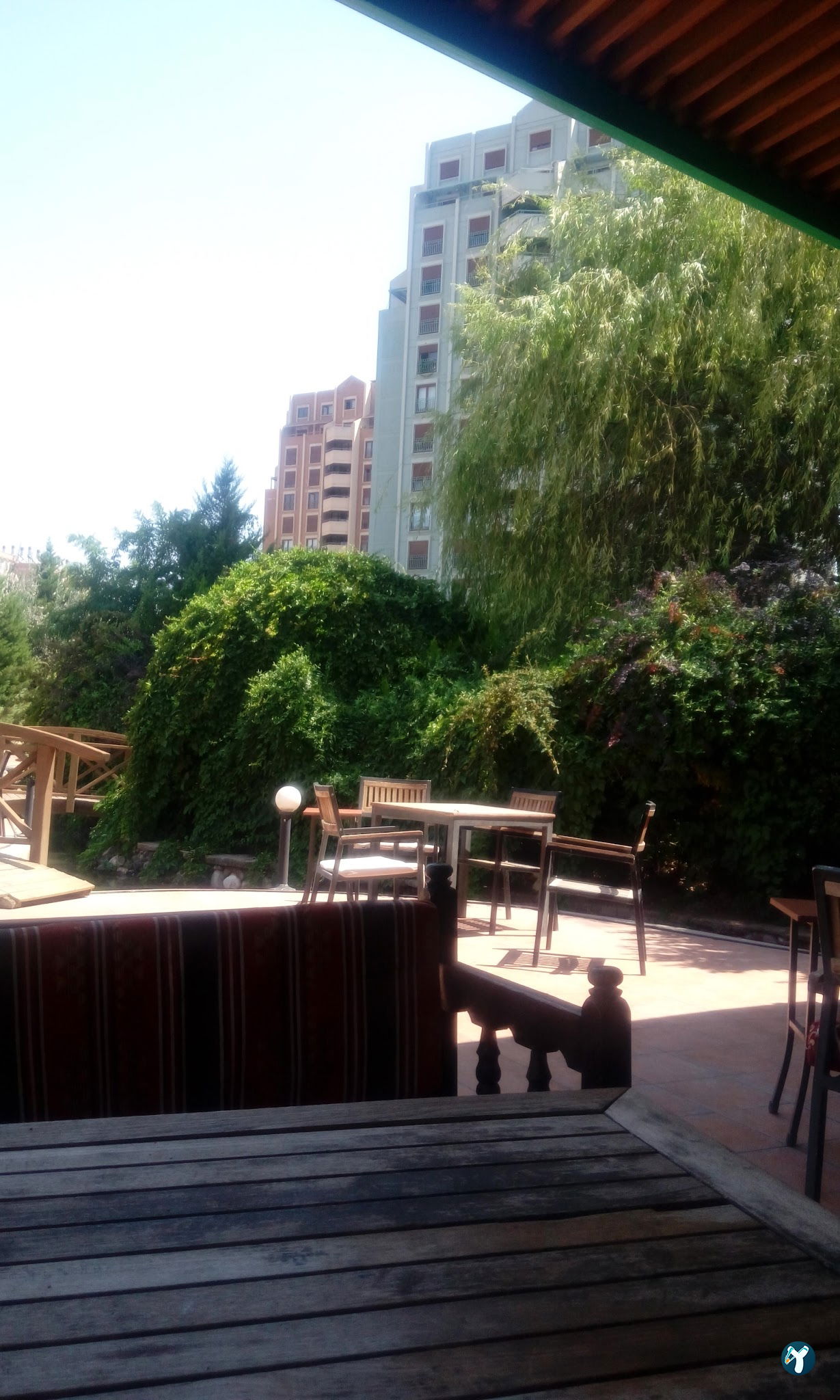 Dadaş Piknik
