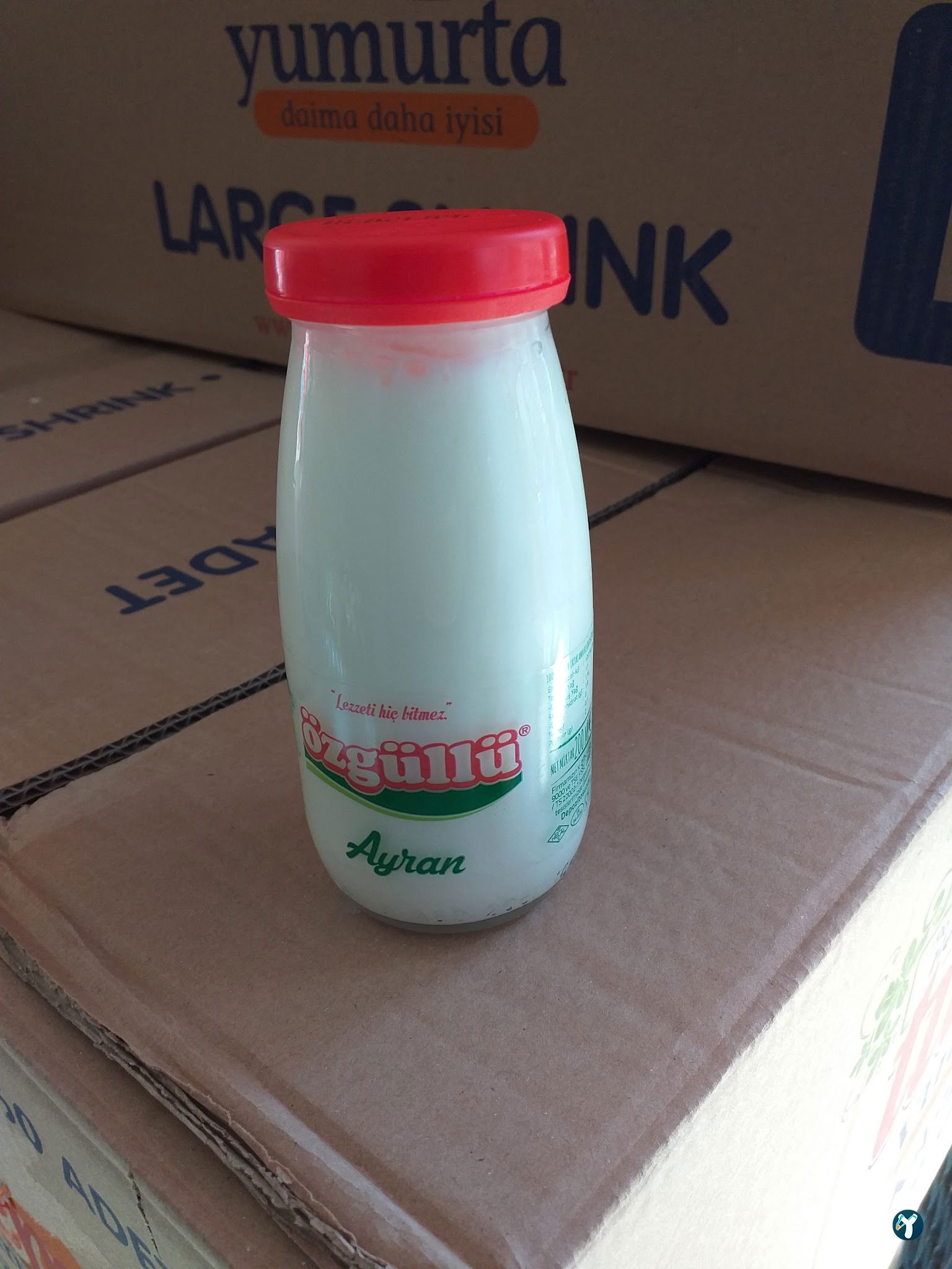 Dadaş Piknik