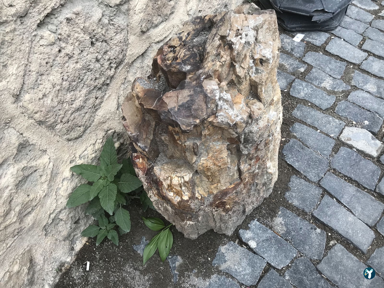 Tarihi Taş Mektep