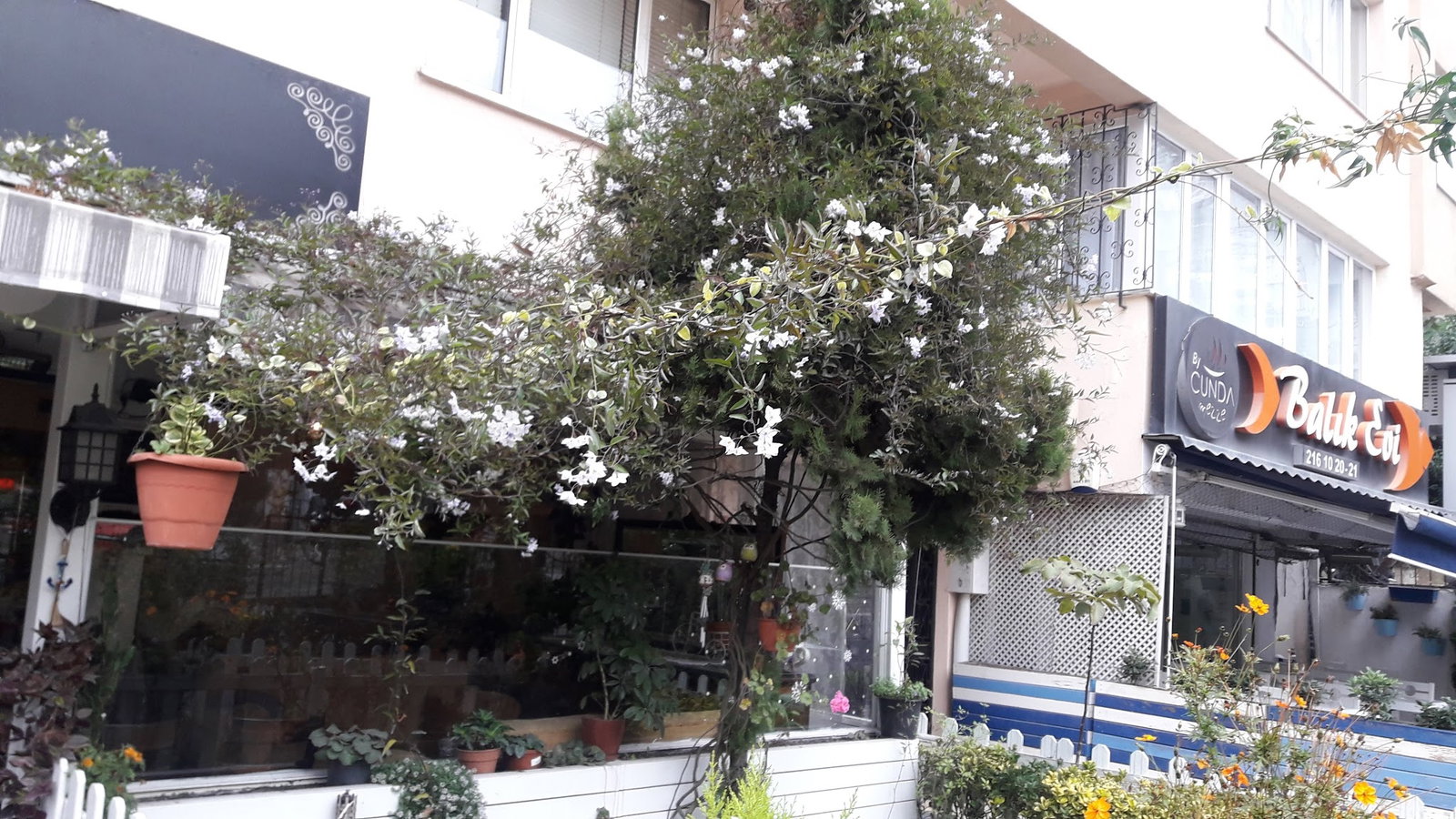 By Cunda Mezze Balık Evi
