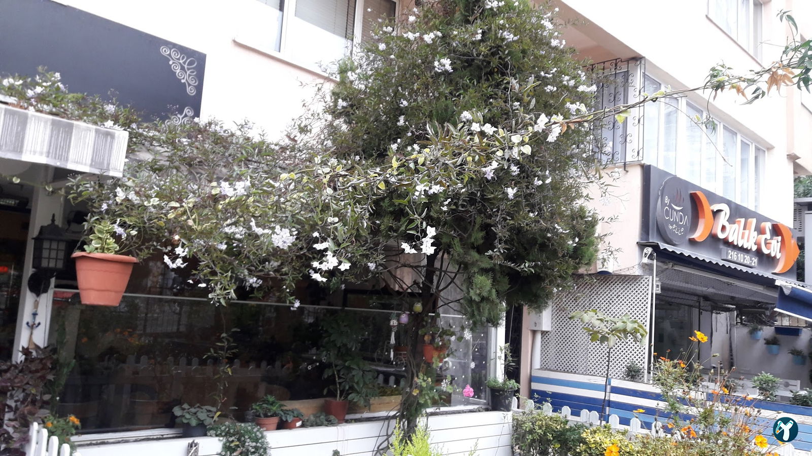 By Cunda Mezze Balık Evi