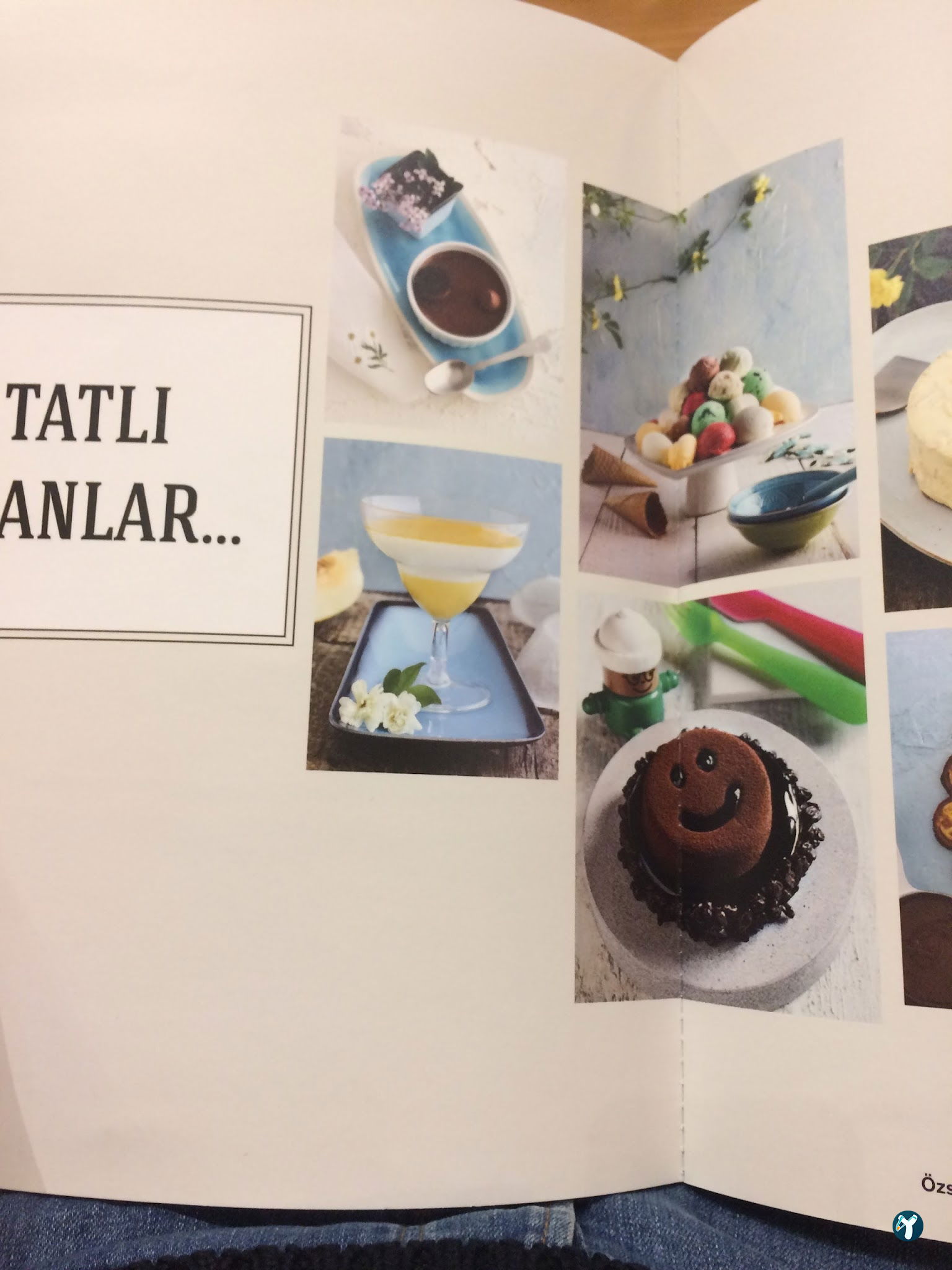 Özsüt
