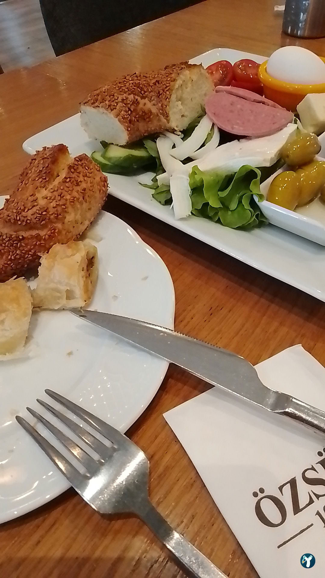 Özsüt