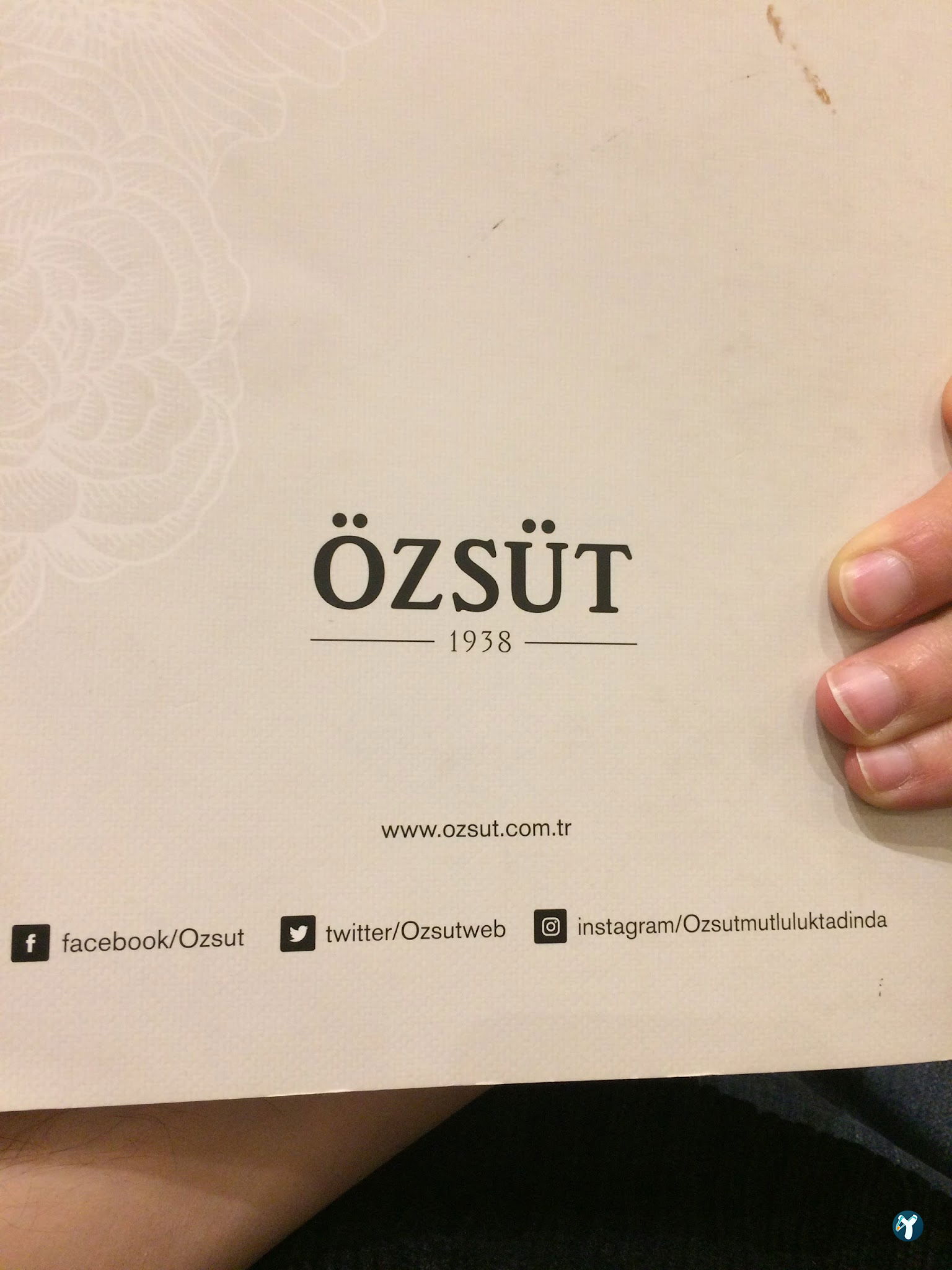 Özsüt
