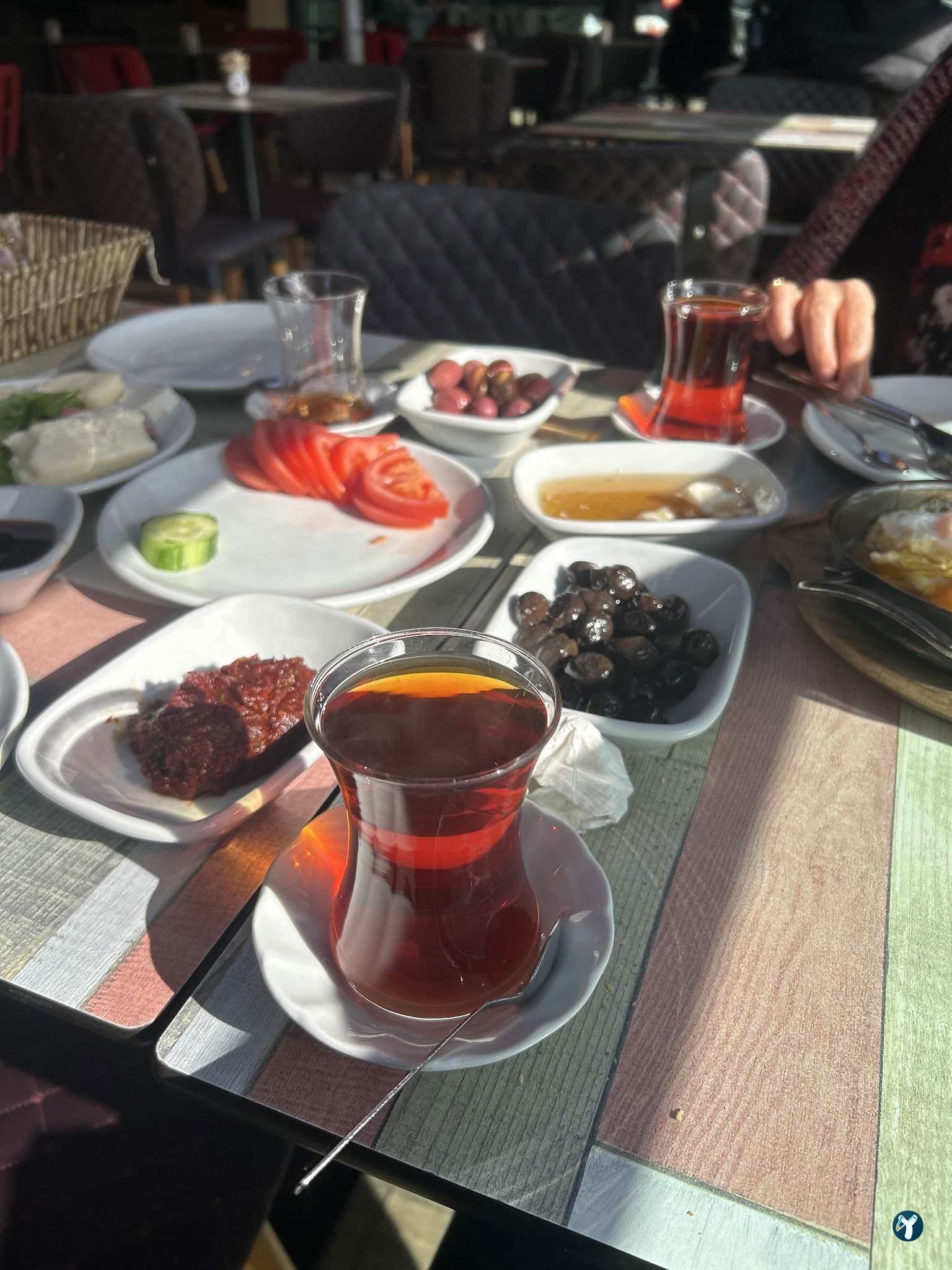 Özsüt