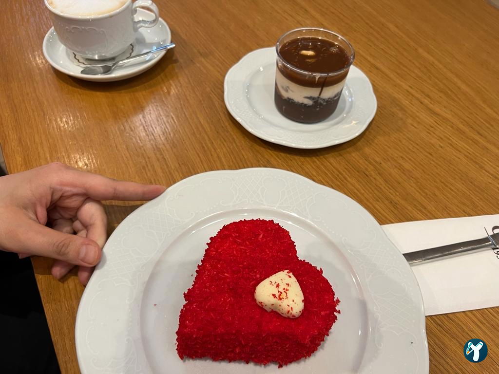 Özsüt