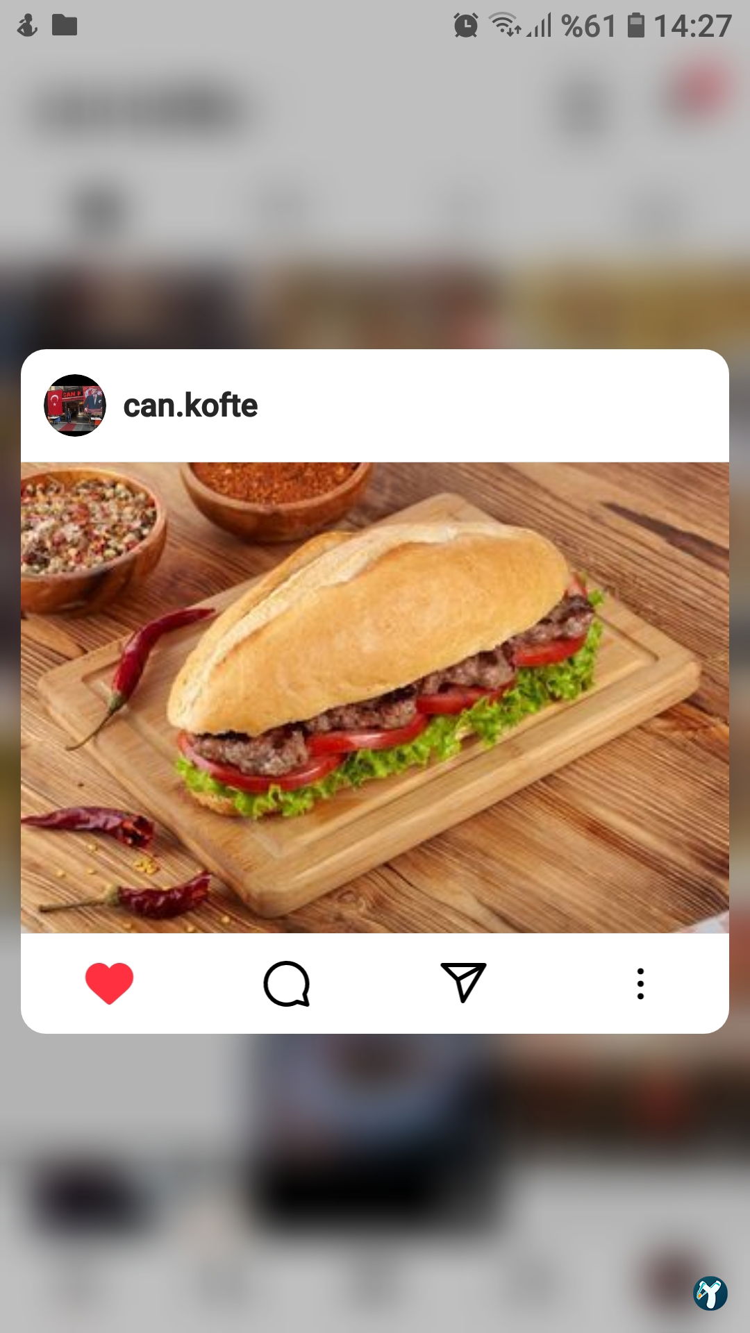 Can Kofte