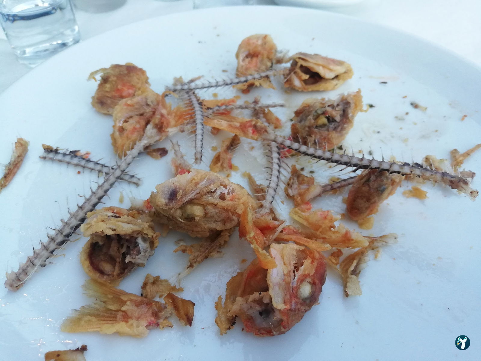 Moshos Taverna