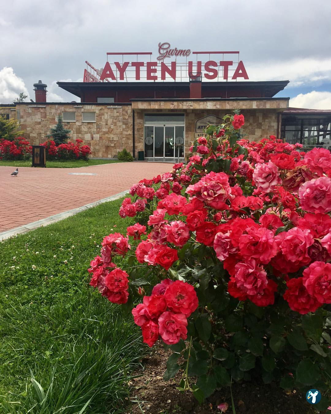 Ayten Usta Gurme Restoran Eskişehir Kahvaltı | Yemek