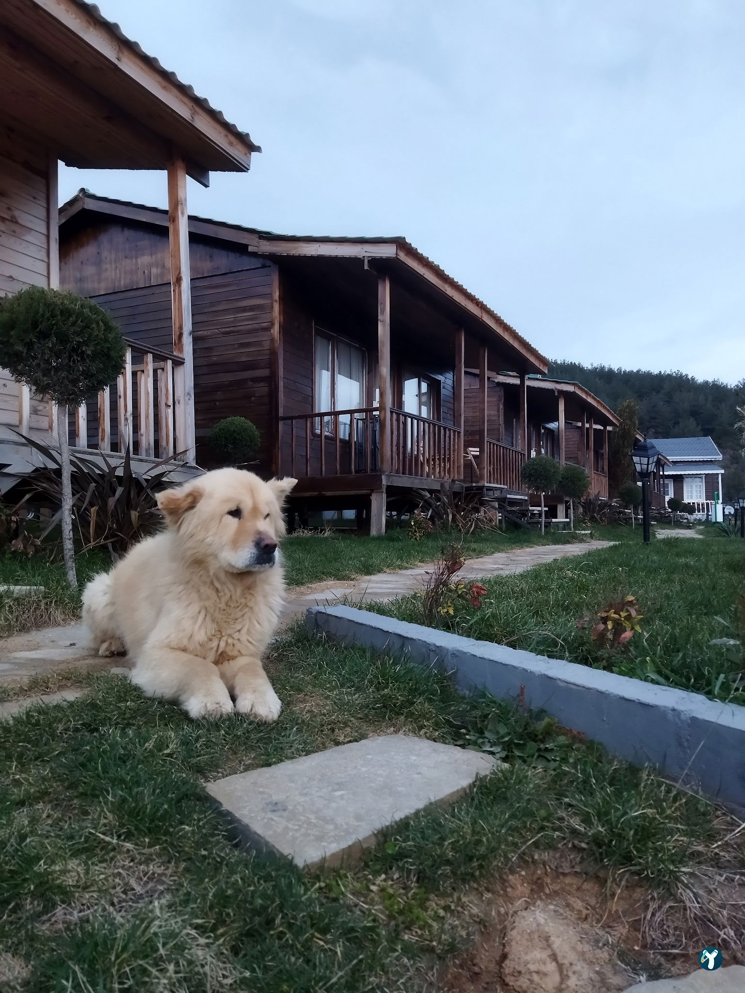 Bisanthe Panorama Sütlüce Dağ Evleri