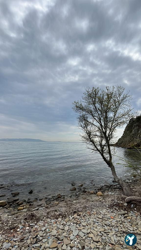 Bisanthe Panorama Sütlüce Dağ Evleri