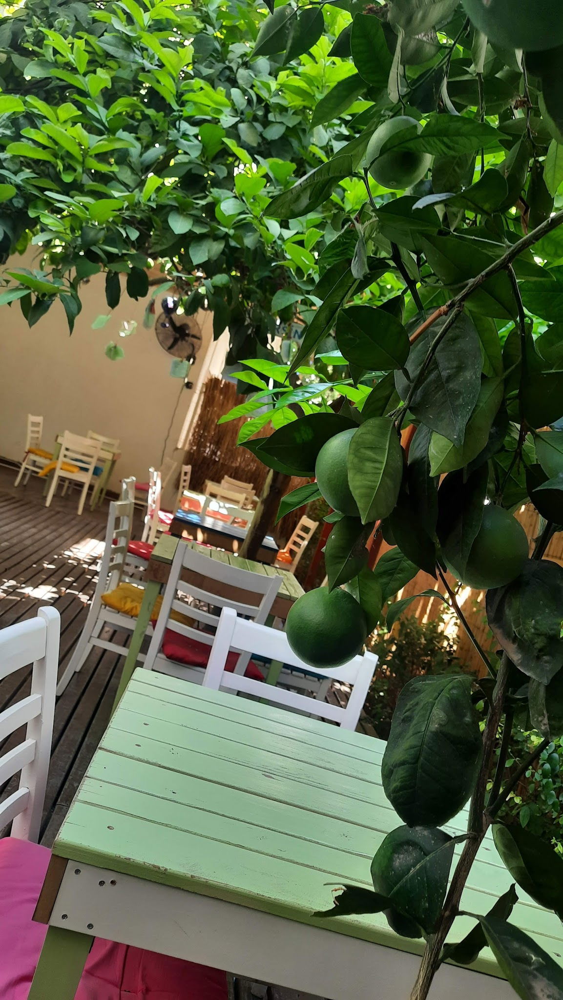 Göğe Bakma Durağı Mersin