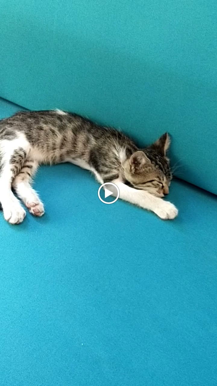 Göğe Bakma Durağı Mersin