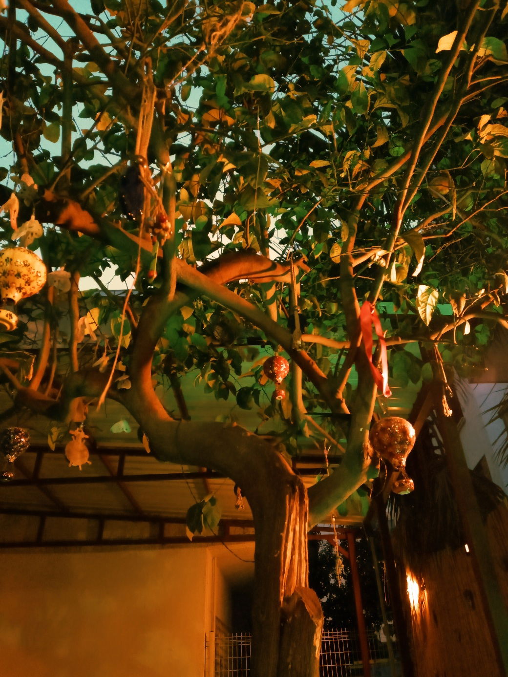 Göğe Bakma Durağı Mersin