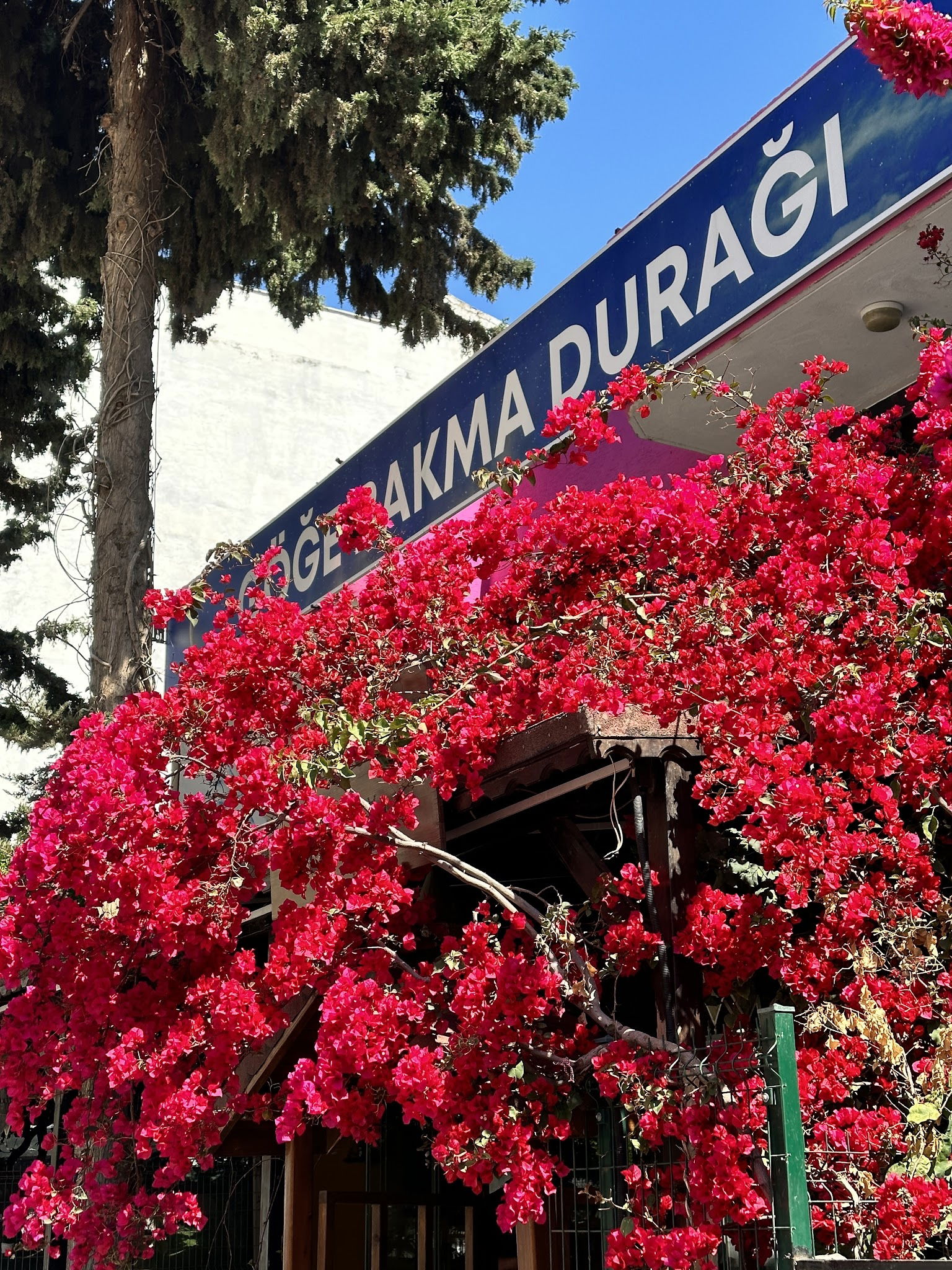 Göğe Bakma Durağı Mersin