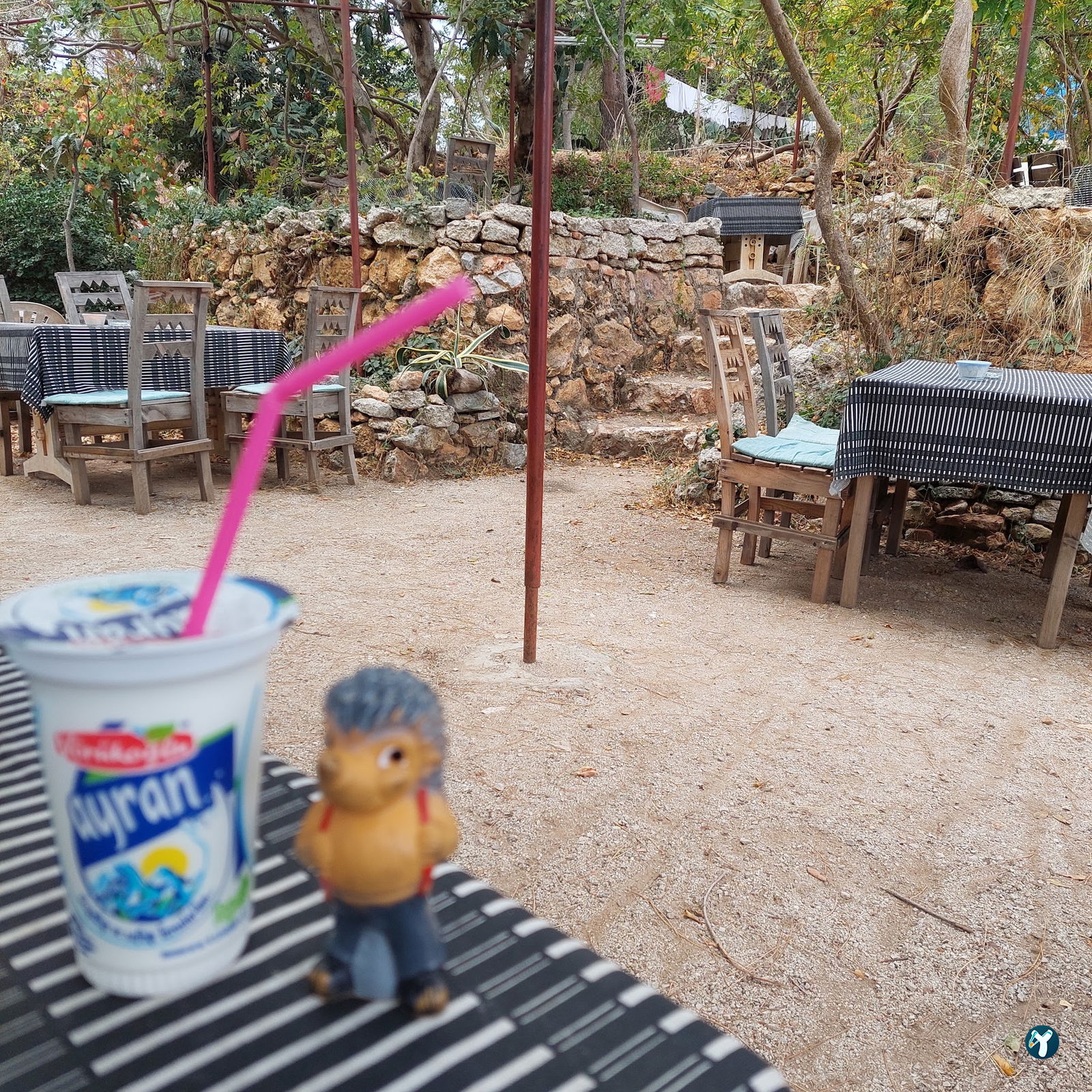 Aydogan Cafe