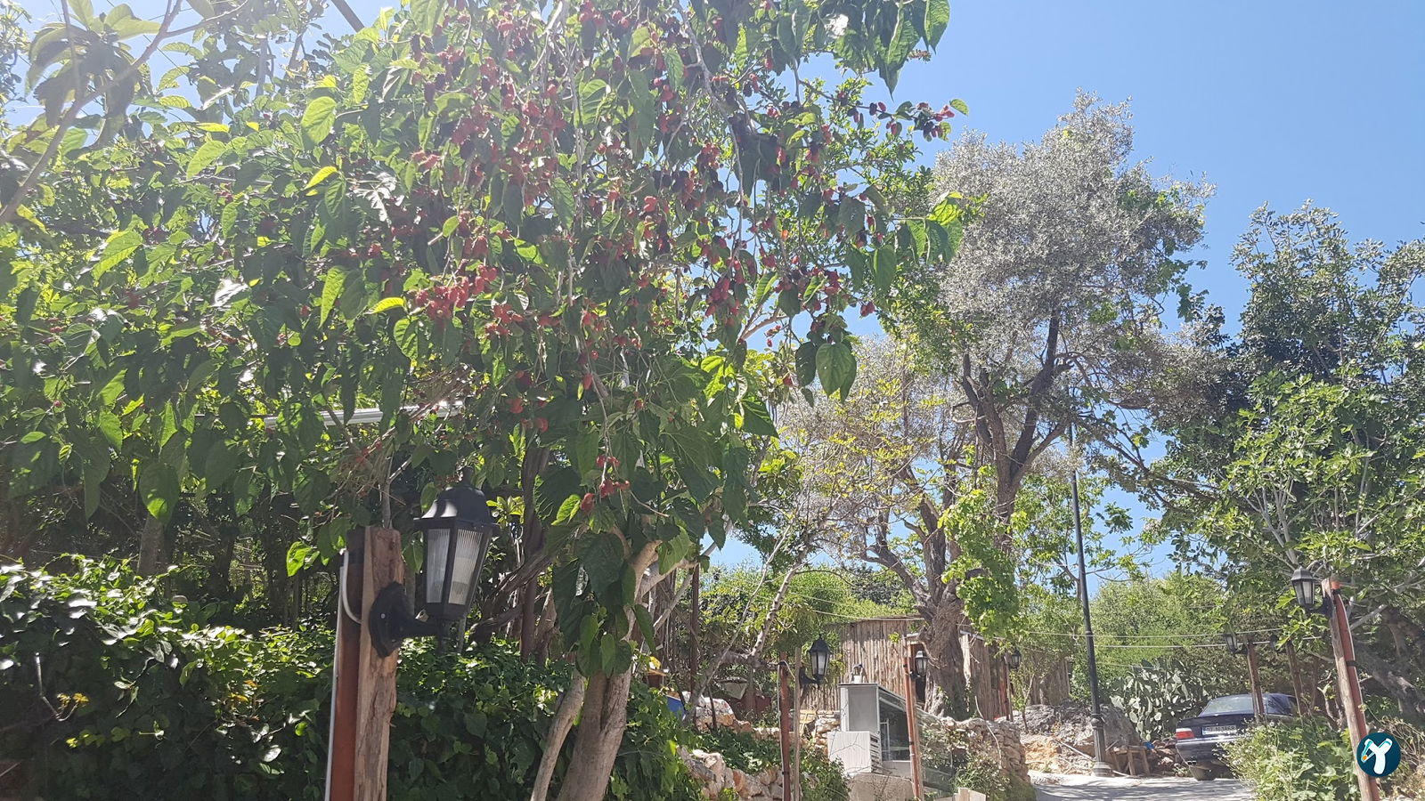 Aydogan Cafe