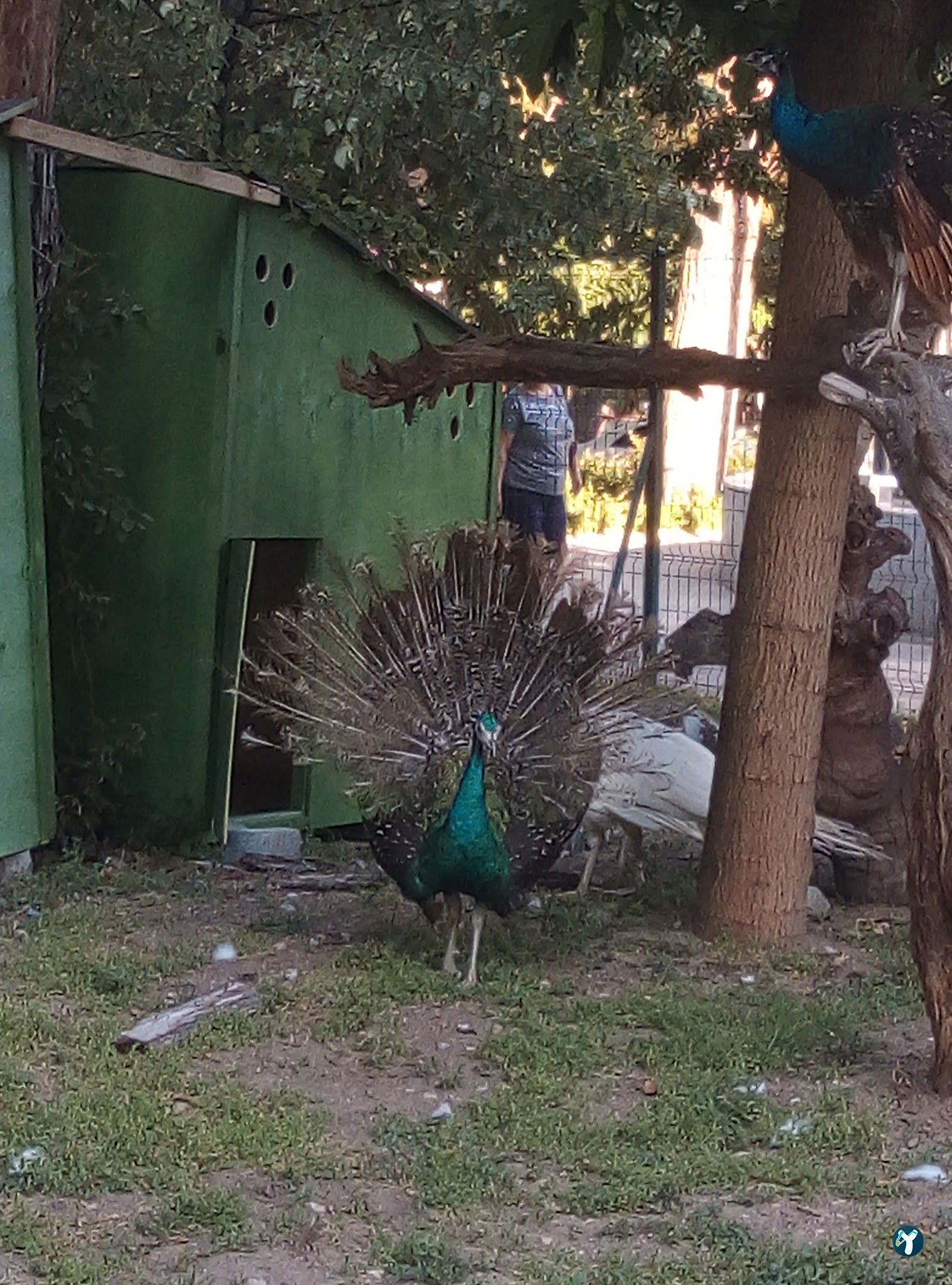 Aydogan Cafe