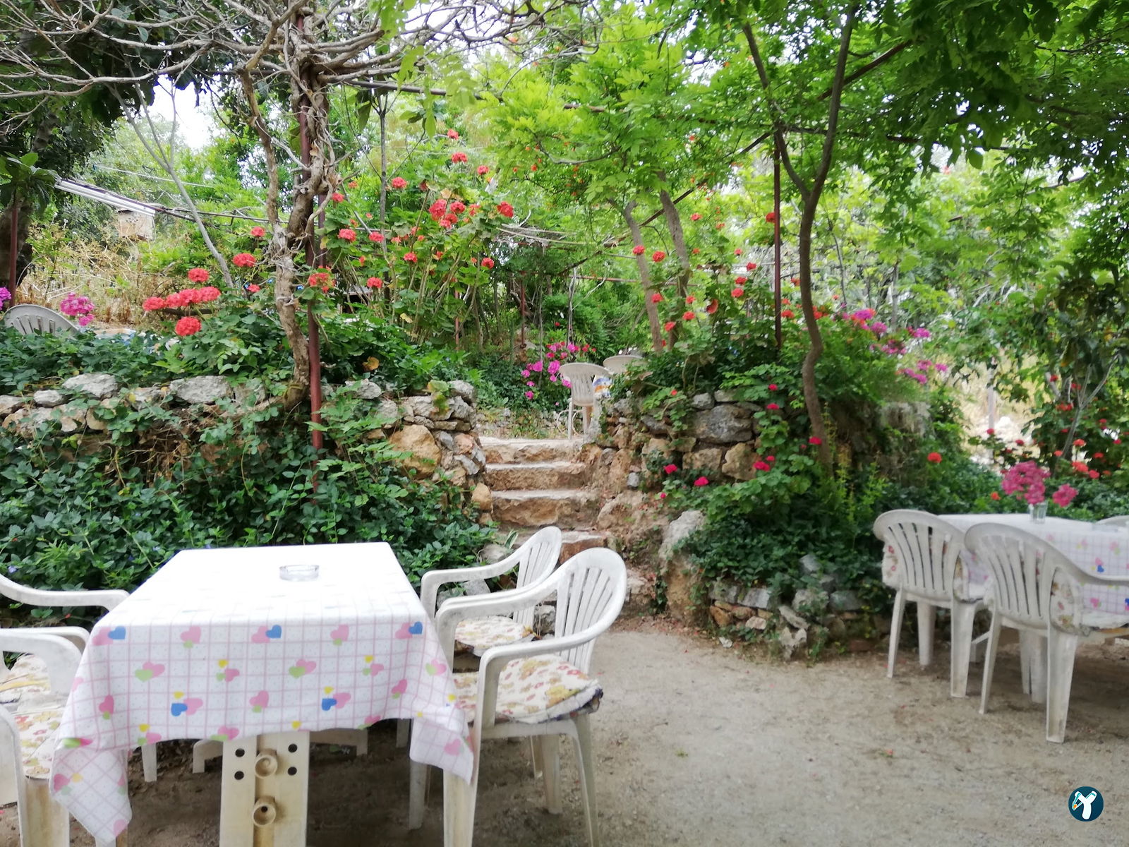 Aydogan Cafe