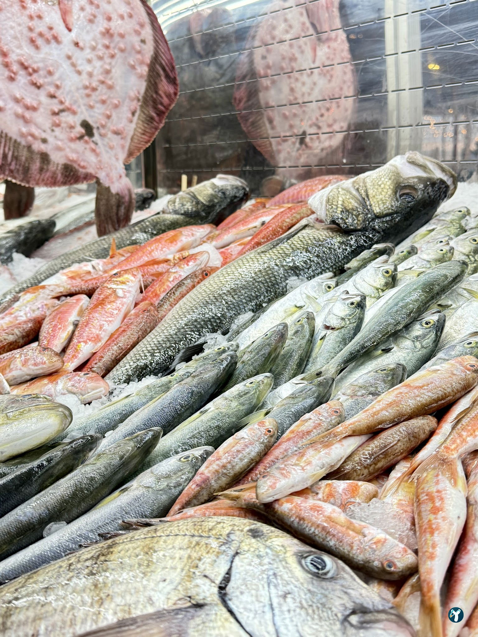 Hayati Chef Balık Restaurant